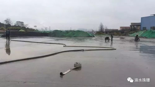 拆鍋爐、抑揚塵、禁焚燒 珠珊鎮大氣污染防治成效顯著，合同能源管理助力綠色發展