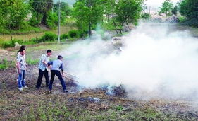 禁止焚燒秸稈，推動大氣污染治理，守護生活環境